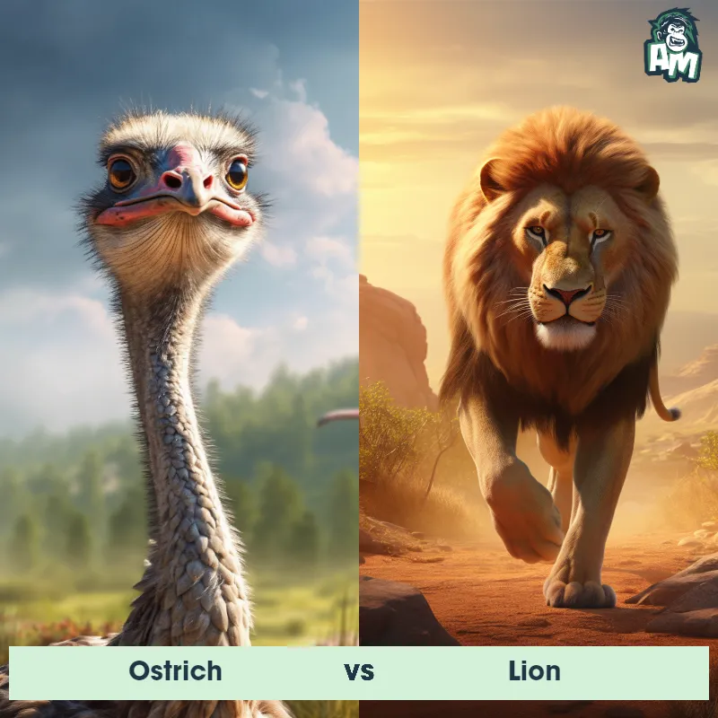 Ostrich vs Lion - Animal Matchup