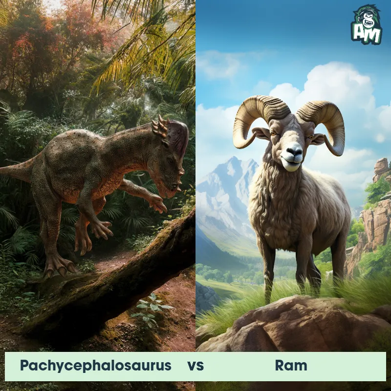 Pachycephalosaurus vs Ram - Animal Matchup