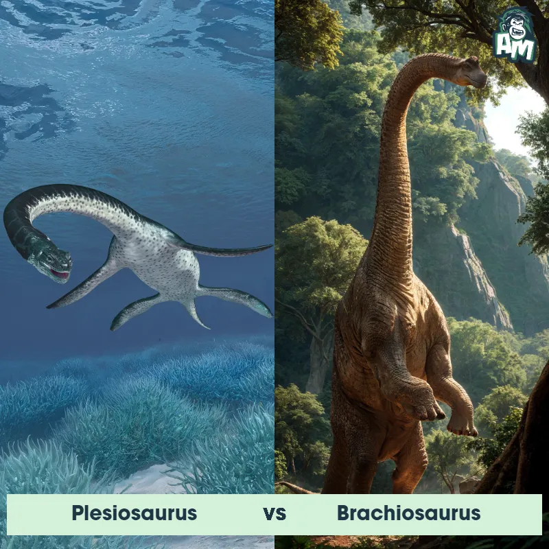 Plesiosaurus vs Brachiosaurus - Animal Matchup
