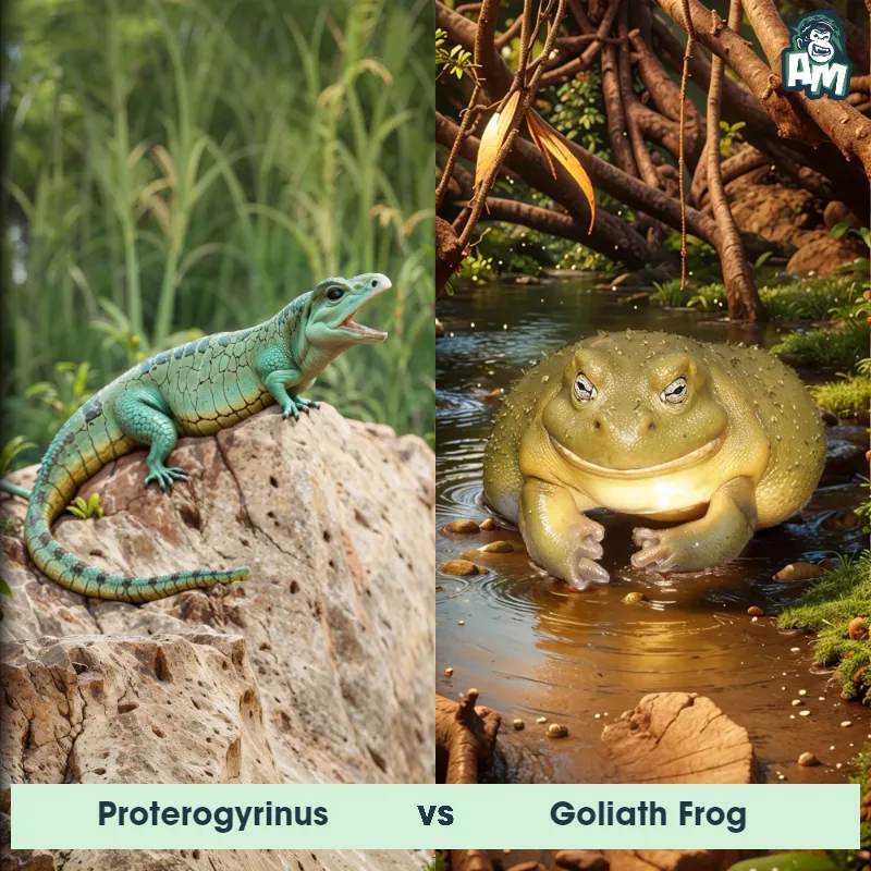 Proterogyrinus vs Goliath Frog - Animal Matchup