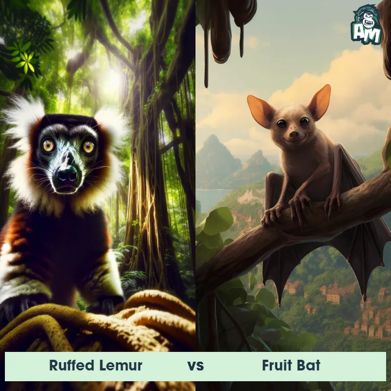 Ruffed Lemur vs Fruit Bat - Animal Matchup