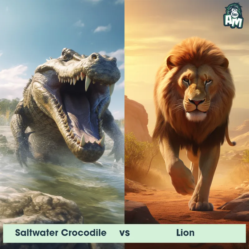Saltwater Crocodile vs Lion - Animal Matchup