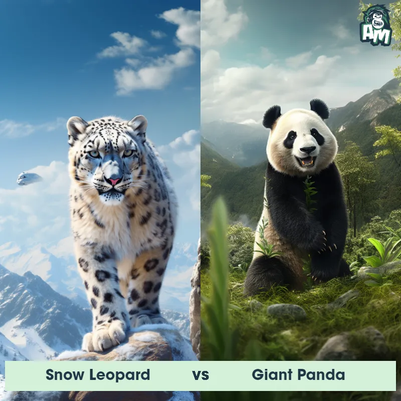 Snow Leopard vs Giant Panda - Animal Matchup
