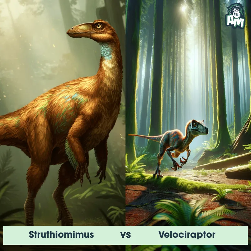Struthiomimus vs Velociraptor - Animal Matchup