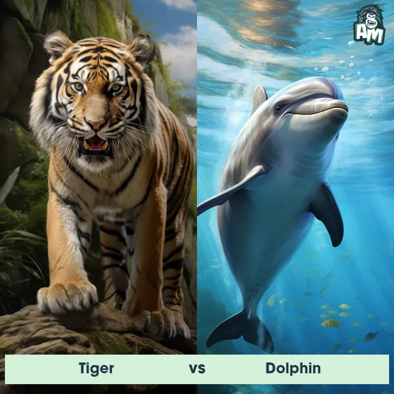 Tiger vs Dolphin - Animal Matchup