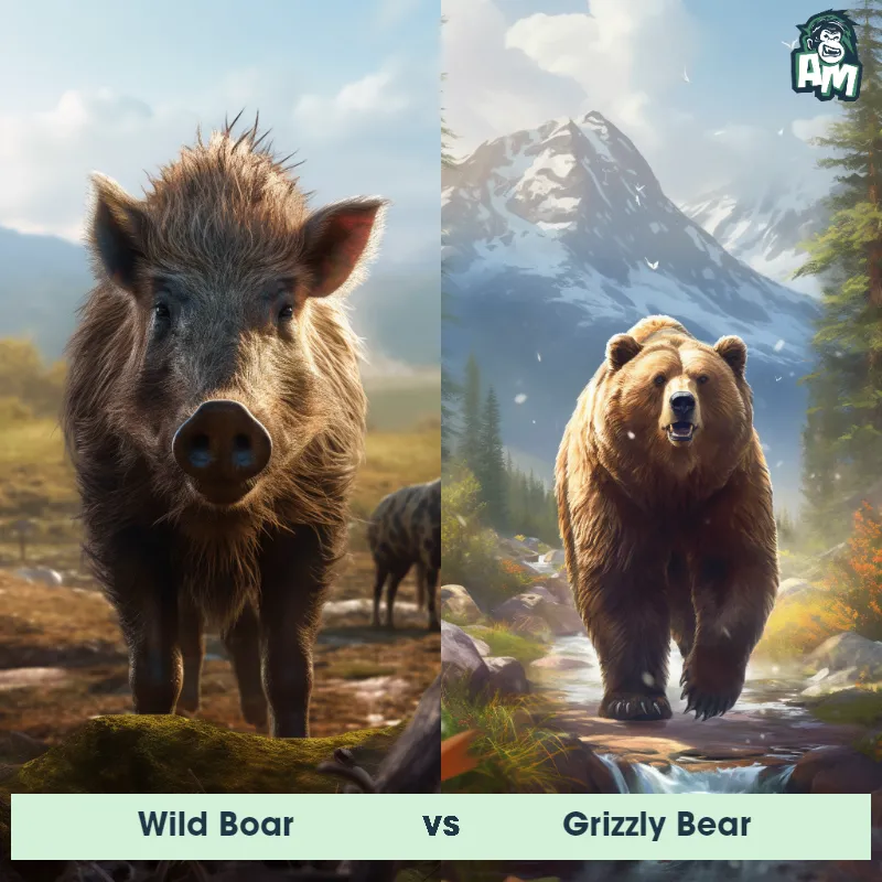 Wild Boar vs Grizzly Bear - Animal Matchup