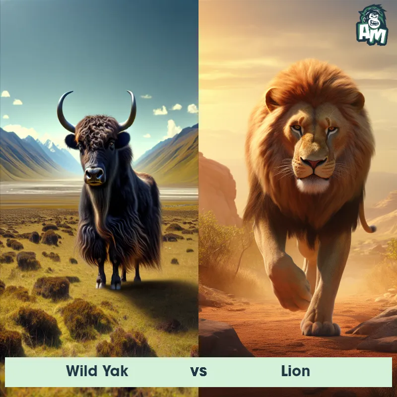 Wild Yak vs Lion - Animal Matchup