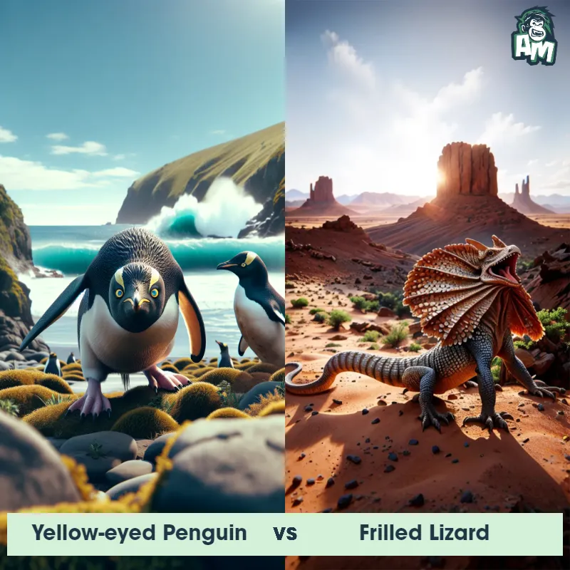 Yellow-eyed Penguin vs Frilled Lizard - Animal Matchup