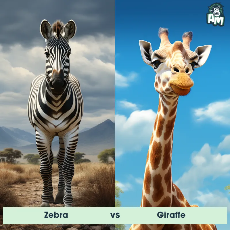 Zebra vs Giraffe - Animal Matchup